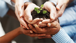 电话轰炸机在线网页版